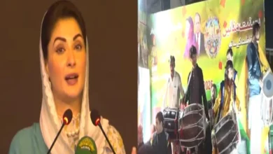 وزیراعلیٰ مریم نواز شریف کا لاہور میں محفوظ بسنت کے کامیاب انعقاد پر اطمینان، سیف بسنت کا تصور پورے پنجاب میں پھیلایا جائے گا