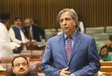 آزادی اظہار رائے آئین اور قانون کے تابع ہے، پگڑیاں اچھالنے کی اجازت نہیں دی جا سکتی: اعظم نذیر تارڑ