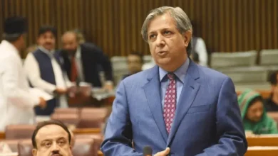 آزادی اظہار رائے آئین اور قانون کے تابع ہے، پگڑیاں اچھالنے کی اجازت نہیں دی جا سکتی: اعظم نذیر تارڑ