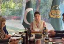 رحیم یار خان اور راجن پور کے کچے کے علاقے ڈاکوؤں سے 100 فیصد کلیئر، ریاستی رِٹ بحال