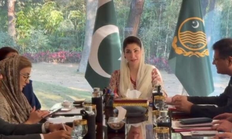 رحیم یار خان اور راجن پور کے کچے کے علاقے ڈاکوؤں سے 100 فیصد کلیئر، ریاستی رِٹ بحال