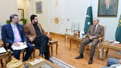 وزیرِ اعظم اور وزیراعلیٰ خیبر پختونخوا کی ملاقات: امن و امان، دہشت گردی کے خاتمے اور ترقیاتی تعاون پر اتفاق