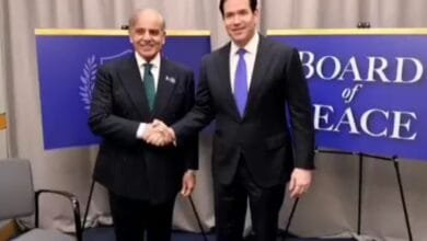 واشنگٹن میں وزیراعظم شہباز شریف کی امریکی وزیر خارجہ مارکو روبیو سے ملاقات، پاک امریکہ تعلقات کو مزید مضبوط بنانے پر اتفاق