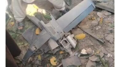 پاکستان کے مختلف شہروں پر چھوٹے ڈرون حملے ناکام بنا دیے گئے،عطا اللہ تارڑ