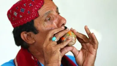 بوریندو: دریائے سندھ کی قدیم تہذیب کی بازگشت، یونیسکو کی فہرست میں شامل ہونے کے بعد تحفظ کی نئی امید