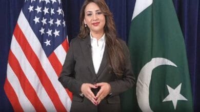 غیرملکی سفارتکاروں اور شوبز ستاروں کی دہلی گیٹ میں شاندار شرکت,بسنت کی بحالی کا پورا کریڈٹ وزیراعلیٰ پنجاب کو جاتا ہے