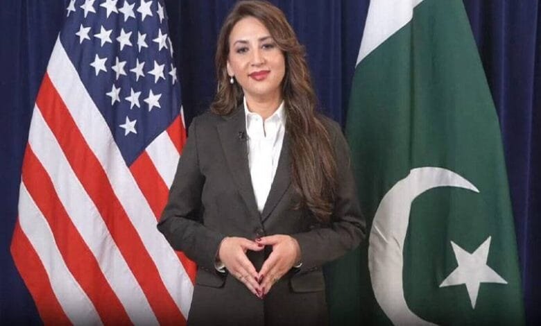 غیرملکی سفارتکاروں اور شوبز ستاروں کی دہلی گیٹ میں شاندار شرکت,بسنت کی بحالی کا پورا کریڈٹ وزیراعلیٰ پنجاب کو جاتا ہے