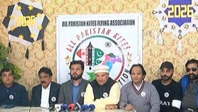 بسنت پر لاہور میں 20 ارب روپے سے زائد کی معاشی سرگرمی ہوئی، کائٹ فلائنگ ایسوسی ایشن