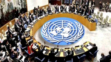 اقوام متحدہ کی سلامتی کونسل کی بلوچستان میں دہشت گرد حملوں کی شدید مذمت،سپانسرز کو انصاف کے کٹہرے میں لایا جائے