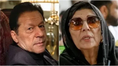 عمران خان کی آنکھ کے علاج پر تنازع: کیا پی ٹی آئی اور علیمہ خان ایک پیج پر ہیں؟، پارٹی کے اندرونی اختلافات بھی عیاں