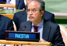 اقوام متحدہ میں پاکستان کا دوٹوک مؤقف: یوکرین تنازع کا کوئی فوجی حل نہیں، فوری جنگ بندی اور مذاکرات ناگزیر