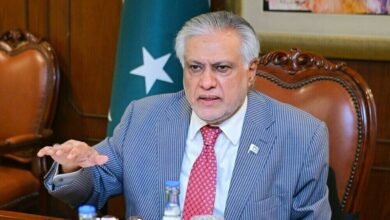 پاکستان دہشت گردی کے خاتمے کا تہیہ کیے ہوئے ہے، اسحاق ڈار