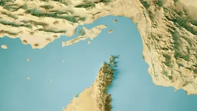 ہم نے آبنائے ہرمز بند نہیں کی تاہم یہ امریکہ کے سبب غیر محفوظ ہو گئی ہے : ایرانی فوج