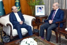 صدر زرداری اور وزیر اعظم شہباز کی اہم ملاقات، علاقائی صورتحال اور قومی سلامتی پر تفصیلی غور