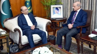 صدر زرداری اور وزیر اعظم شہباز کی اہم ملاقات، علاقائی صورتحال اور قومی سلامتی پر تفصیلی غور