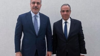 پاکستان کی سفارتی سرگرمیاں تیز، علاقائی امن کے لیے اہم پیش رفت