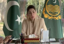 پنجاب میں بیواؤں اور یتیم بچوں کے لیے “رحمت کارڈ” پروگرام کی منظوری، فلاحی نظام میں نئی پیش رفت