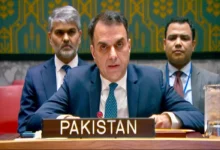 اقوام متحدہ میں پاکستان کا کیمیکل ویپنز کنونشن کی حمایت کا اعادہ