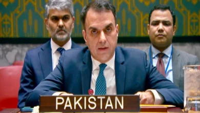 اقوام متحدہ میں پاکستان کا کیمیکل ویپنز کنونشن کی حمایت کا اعادہ
