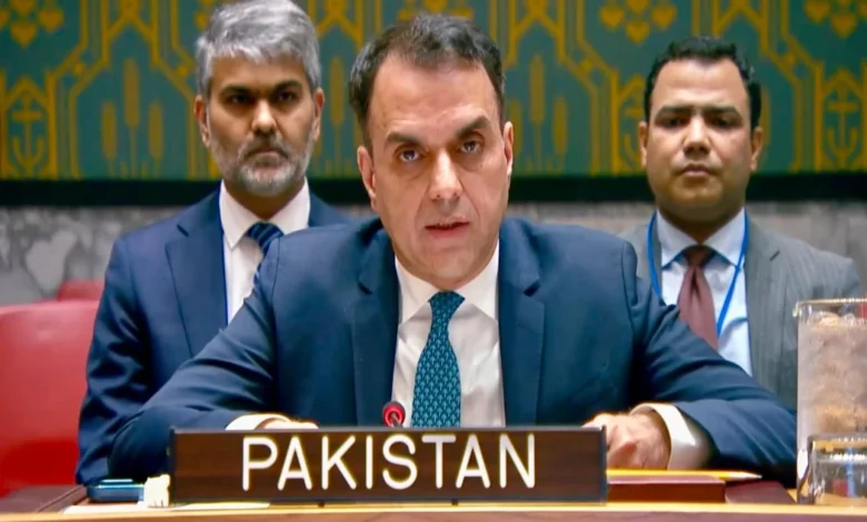 اقوام متحدہ میں پاکستان کا کیمیکل ویپنز کنونشن کی حمایت کا اعادہ