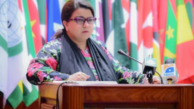 ڈیجیٹل ترقی کے لیے مضبوط سائبر سکیورٹی ناگزیر ہے: شزہ فاطمہ خواجہ