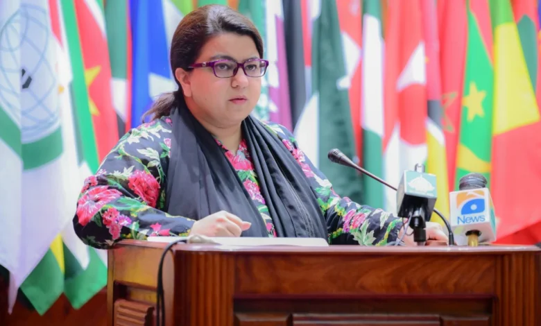 ڈیجیٹل ترقی کے لیے مضبوط سائبر سکیورٹی ناگزیر ہے: شزہ فاطمہ خواجہ