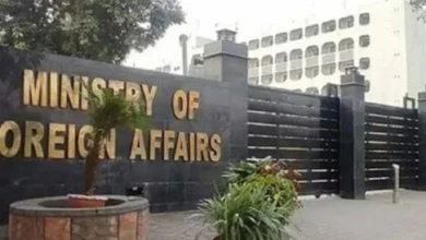 پاکستان نے افغانستان میں دہشت گردوں کے خلاف اپنی کارروائیوں پر بھارتی وزارت خارجہ کا بیان مسترد کر دیا سید