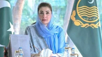 ٹی بی کے خاتمے کے لیے حکومتی عزم، عوامی آگاہی اور مفت علاج کے اقدامات تیز ، وزیراعلیٰ پنجاب