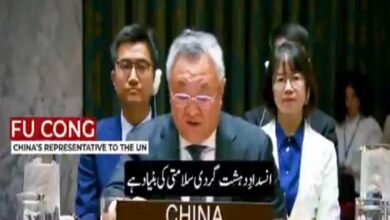 افغانستان میں دہشتگرد تنظیموں کی موجودگی پر عالمی تشویش، طالبان حکومت پر دباؤ میں اضافہ