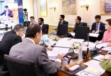 وزیراعلیٰ مریم نواز شریف کی زیر صدارت پنجاب کابینہ کا پہلا مکمل ویڈیو لنک اجلاس، ترقیاتی اور اصلاحاتی اقدامات کی منظوری