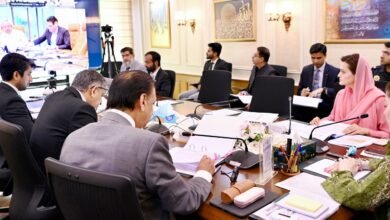 وزیراعلیٰ مریم نواز شریف کی زیر صدارت پنجاب کابینہ کا پہلا مکمل ویڈیو لنک اجلاس، ترقیاتی اور اصلاحاتی اقدامات کی منظوری
