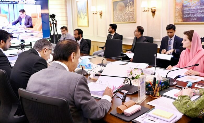 وزیراعلیٰ مریم نواز شریف کی زیر صدارت پنجاب کابینہ کا پہلا مکمل ویڈیو لنک اجلاس، ترقیاتی اور اصلاحاتی اقدامات کی منظوری