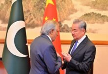 خلیج اور مشرق وسطیٰ میں امن کے لیے چین اور پاکستان کا مشترکہ پانچ نکاتی اقدام، پاکستان کا بڑھتا کردار