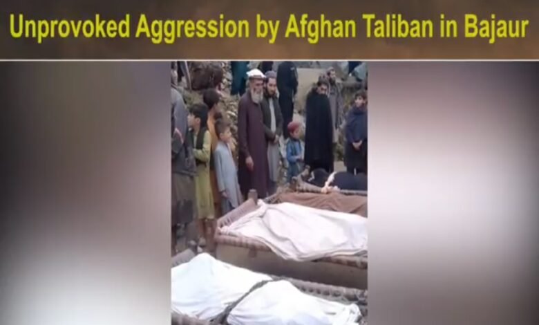 باجوڑ میں سرحد پار مارٹر حملہ، ایک ہی خاندان کے چار بھائی جاں بحق، بچہ زخمی