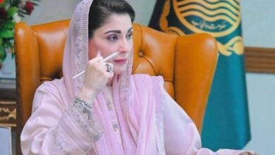 اسلاموفوبیا کی روک تھام کے لیے اسلامی اقدار کو مثبت انداز میں پیش کرنا ضروری ہے: مریم نواز شریف