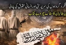 دہشتگرد گروہوں کی سرپرستی اور انسانی حقوق کی پامالی، افغان طالبان رجیم کا سفاک چہرہ بے نقاب