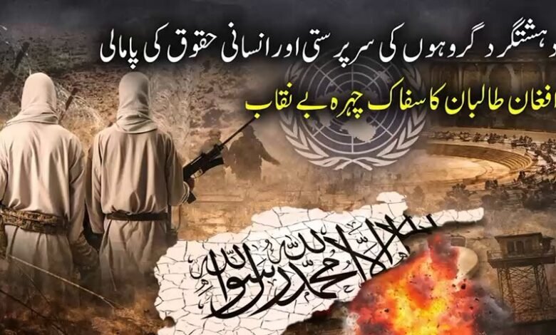 دہشتگرد گروہوں کی سرپرستی اور انسانی حقوق کی پامالی، افغان طالبان رجیم کا سفاک چہرہ بے نقاب