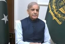 شہباز شریف کا پیٹرول اور ڈیزل کی قیمتیں نہ بڑھانے کا اعلان، ’بوجھ حکومت برداشت کرے گی‘