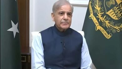 شہباز شریف کا پیٹرول اور ڈیزل کی قیمتیں نہ بڑھانے کا اعلان، ’بوجھ حکومت برداشت کرے گی‘