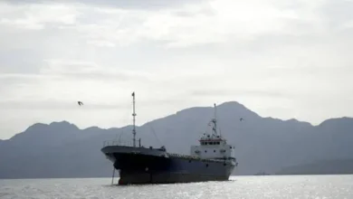 پاکستانی جہازوں کو آبنائے ہرمز سے گزرنے میں دقتوں کا سامنا ہے : حکام