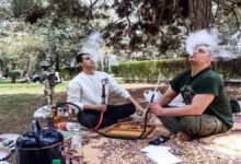 ایران نیچر ڈے: ٹرمپ کی دھمکیوں کے باوجود تہران میں موسیقی اور باربی کیو