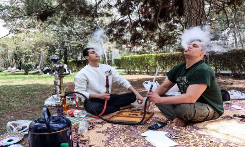 ایران نیچر ڈے: ٹرمپ کی دھمکیوں کے باوجود تہران میں موسیقی اور باربی کیو