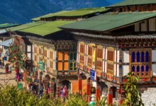 کاربن نیگیٹو ملک بھوٹان بھی جنگ سے متاثر، ایندھن بے حد مہنگا