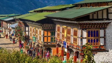 کاربن نیگیٹو ملک بھوٹان بھی جنگ سے متاثر، ایندھن بے حد مہنگا