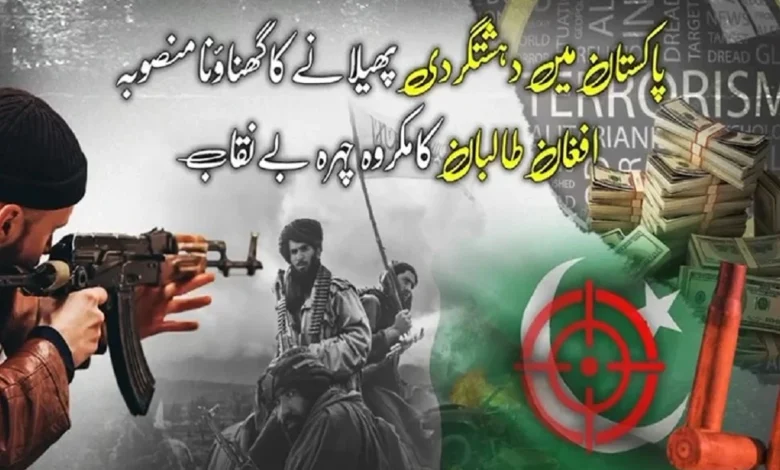 افغان طالبان پر پاکستان میں دہشتگردی پھیلانے کے الزامات، مبینہ فنڈنگ مہم بے نقاب