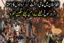 افغانستان میں بین الاقوامی دہشت گرد گروہوں کا بڑھتا اثر و رسوخ، خطے کیلئے سنگین چیلنج