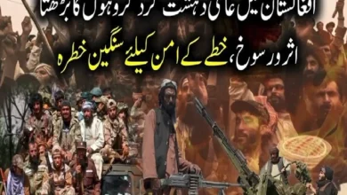 افغانستان میں بین الاقوامی دہشت گرد گروہوں کا بڑھتا اثر و رسوخ، خطے کیلئے سنگین چیلنج