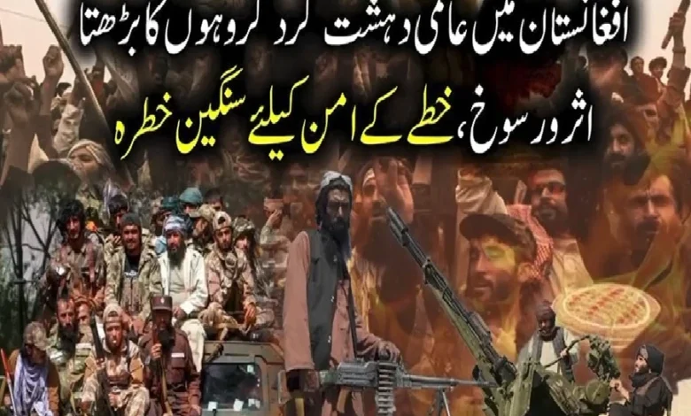 افغانستان میں بین الاقوامی دہشت گرد گروہوں کا بڑھتا اثر و رسوخ، خطے کیلئے سنگین چیلنج