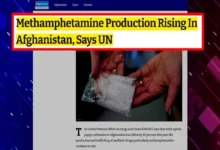 افغانستان میں منشیات اور دہشت گردی کا گٹھ جوڑ: اقوام متحدہ کی رپورٹ میں سنگین انکشافات