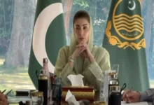 وزیراعلیٰ پنجاب کا گندم کے کاشتکاروں کو6 ارب روپے کا باردانہ مفت دینے کا اعلان